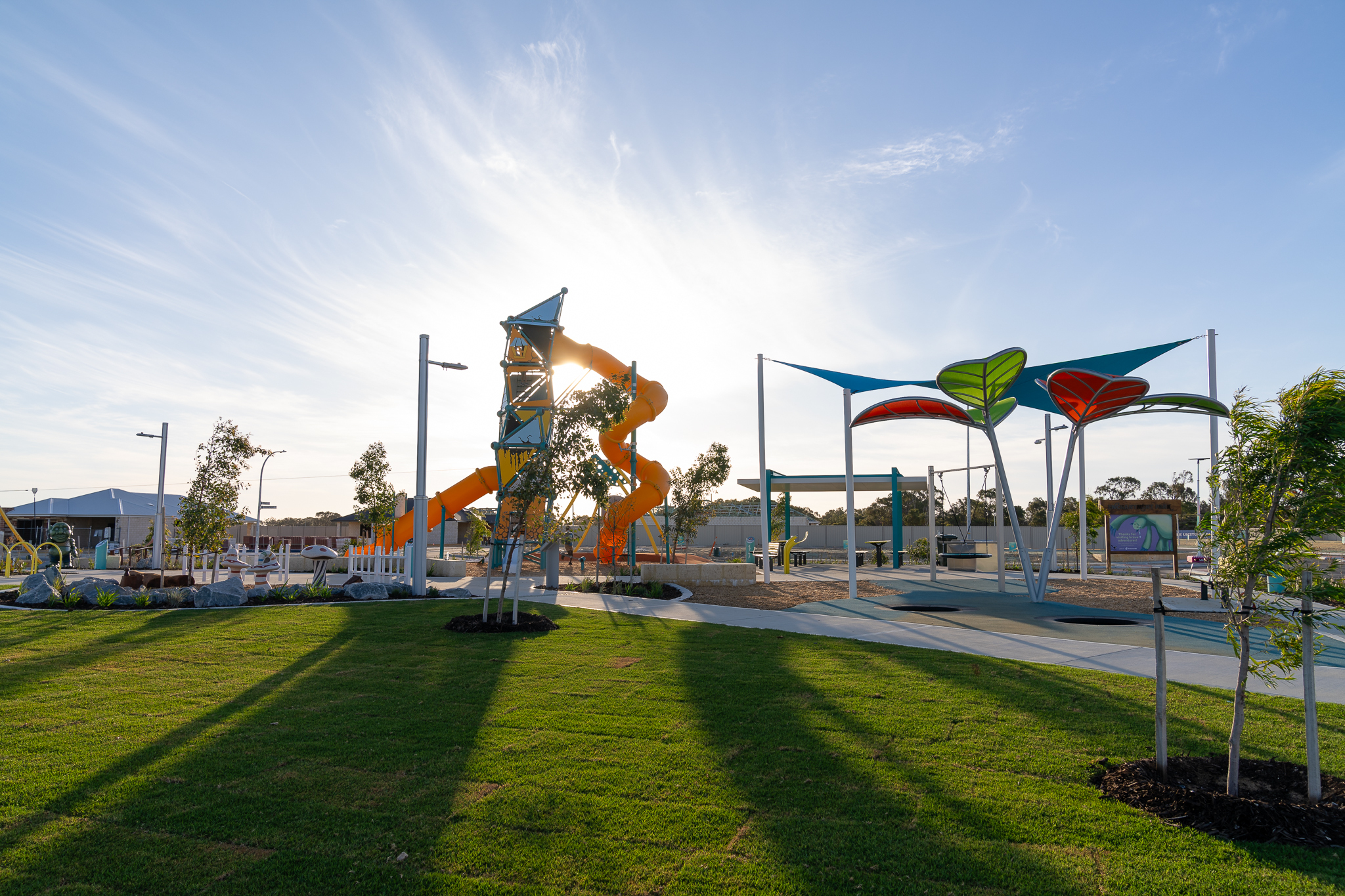 2025 07 25 Neon Palms CUB 205017